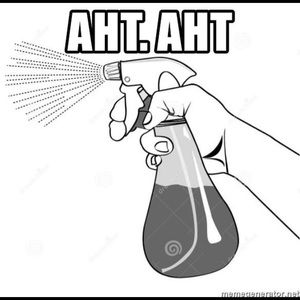 Meet your Posher, Julius